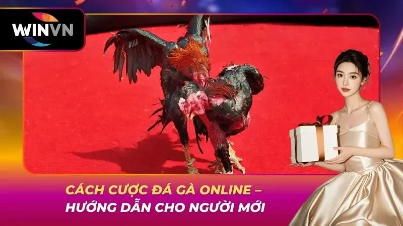 Cách Cược Đá Gà Online – Hướng Dẫn Cho Người Mới