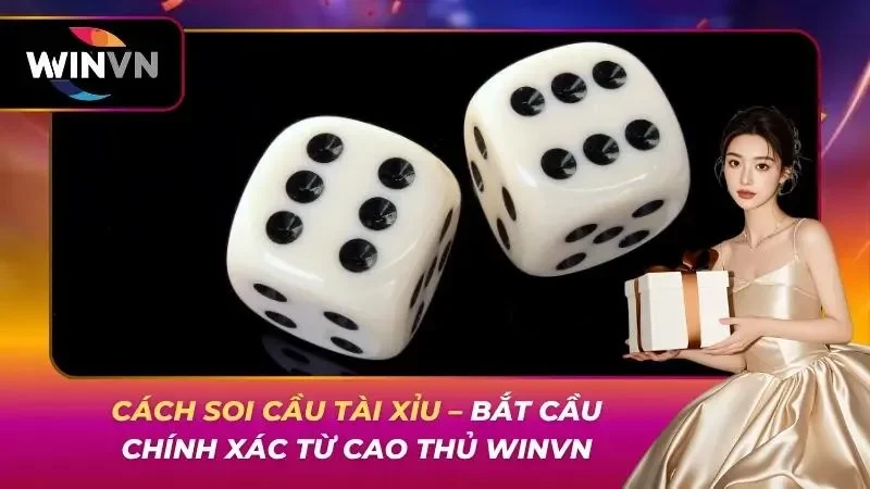Cách Soi Cầu Tài Xỉu – Bắt Cầu Chính Xác Từ Cao Thủ WINVN